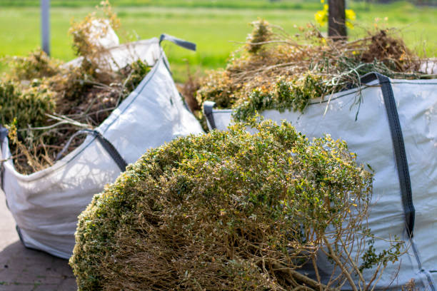 Best Dumpster Rental Services  in Litchfield, MN