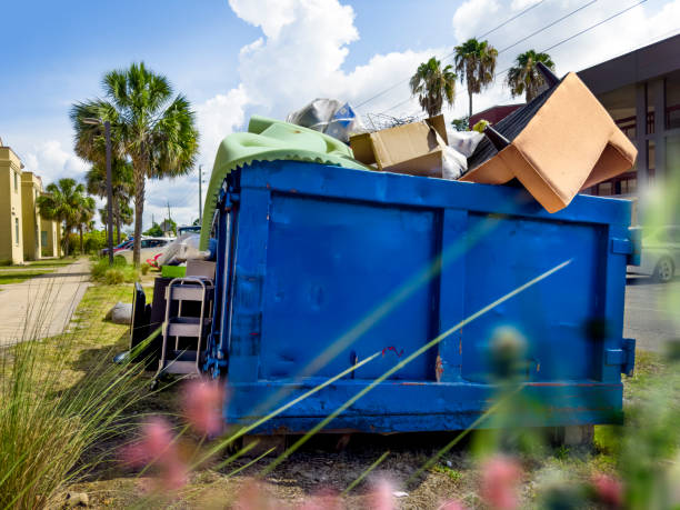 Best Electronics Removal Services  in Litchfield, MN