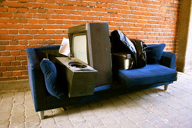 Best Professional Junk Removal  in Litchfield, MN
